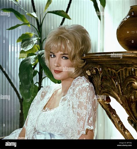 stella stevens hot|482 Actress Stella Stevens Stock Photos & High